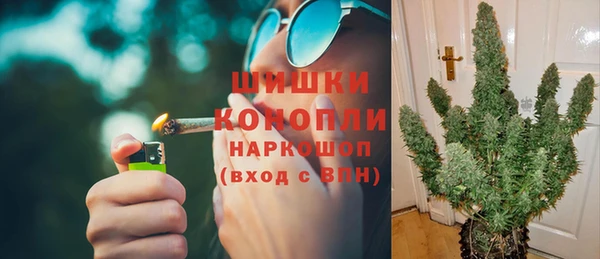 винт Липки