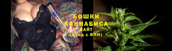 тгк Магас