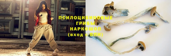 тгк Магас