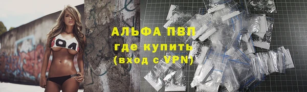 тгк Магас