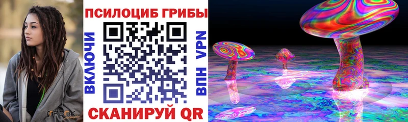 где купить наркотик  Грозный  Галлюциногенные грибы прущие грибы 
